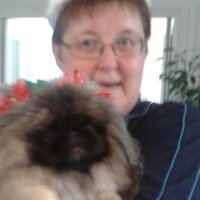 Pauline Cowan (@paulinecowan60) Twitter profile photo