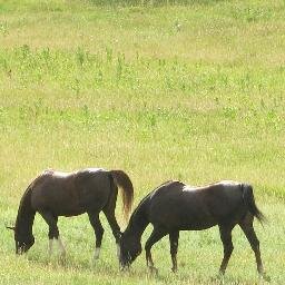nktakashi's profile picture. japanese
hobby
bike
racer