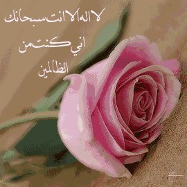 سبحان الله والحمدلله ولا اله الا الله والله اكبر