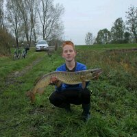 Willmer (@willmerdokter) 's Twitter Profile