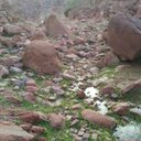 عبدالله (@0504888818) Twitter