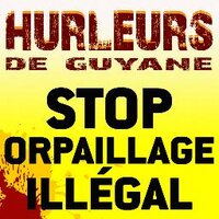 HurleursDeGuyane (@hurleurs2guyane) 's Twitter Profile Photo