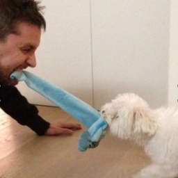 PabloOlivero81's profile picture. Yo Trankilo