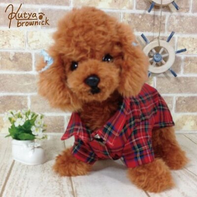 おしゃれな犬服 クーチャブラウニック Kutyabrownick Twitter