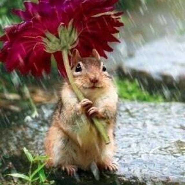 oamoam777's profile picture. 湖畔にたたずもう　#相互フォロー　#follow