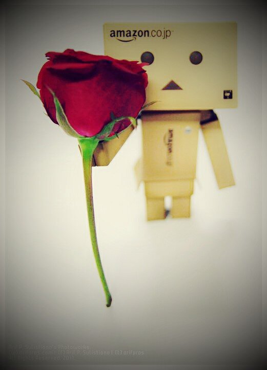 I └ºνє♡ Ƴóύ Ida Sang Hyang Widhi Wasa | Ingin jdi Photographer n Guru O:) | Follback ?? | Mention duluu wee :p :D