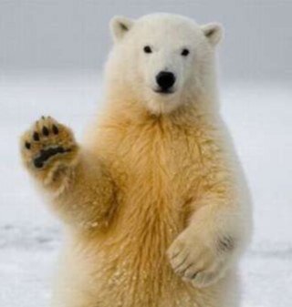 Just_Di_'s profile picture. Irish Girl Guide leader, Mum, One Good Adult. free being me