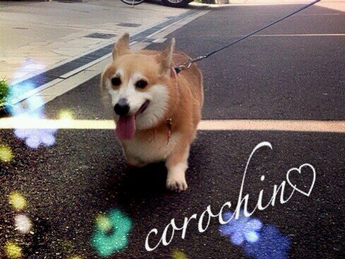 ころちん♡