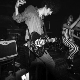 LaMouche_band's profile picture. Le rendement sonore d'une mouche surpasse celui d'un avion.