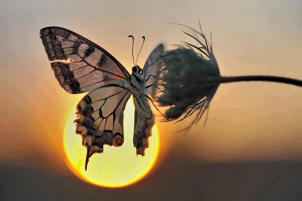 loredanabiella1's profile picture. 