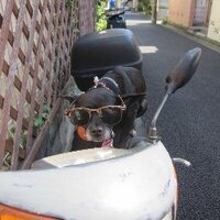 kojiro　５２６ (@m526) 's Twitter Profile
