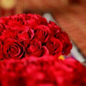 استغفركك ربي عن كل ذنب فعلته والك الحمد ع كل نعمه انعمتها علي ¤¶