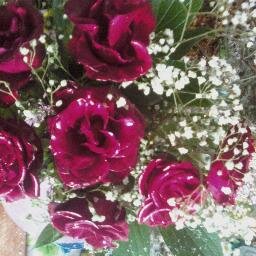 #взаимныйфолловинг #followback #ЧитаюВзаимно #followme #ru_ff #взаимный_фолловинг