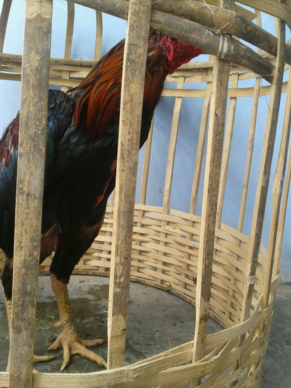 all izz well...