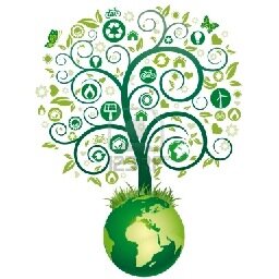 BioclimaticArk's profile picture. 