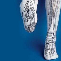 bp_sofi's profile picture. 