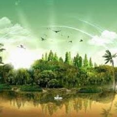 amnk476's profile picture. 