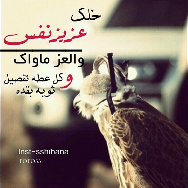 ” آلحديـِد إنٌ طَآلـتً آلٱيـآمٌ صـَّدىً    » ؤآْلذهبً طِؤلً آلزمنٌ زآدھً مھآْبھٌ