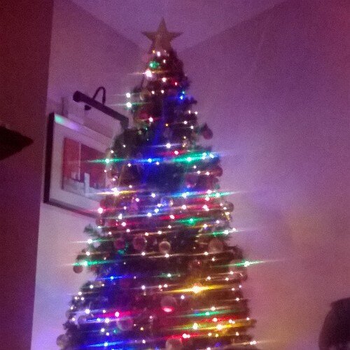 ciaran_mcginley's profile picture. WHATTTTT!!