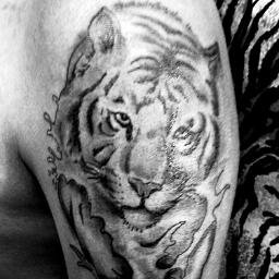 Los tattoos lo hacen los artistas no los delincuentes