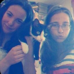 Gatos, gomas e mimo. It's all I need.