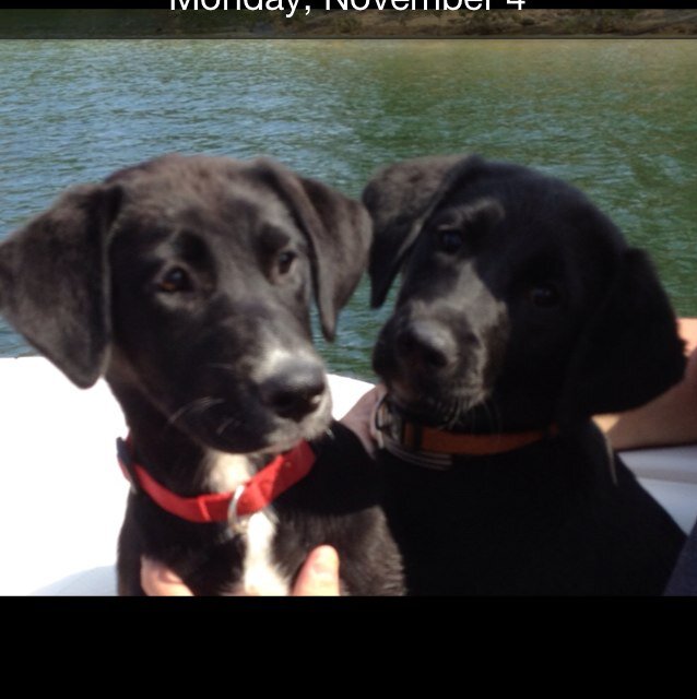 DJBS04's profile picture. Faith. Love. Hope. ...seeking to put my feet in the sand at the beach or out on a golf course or to enjoy a nice bottle of wine or all the above - why not...