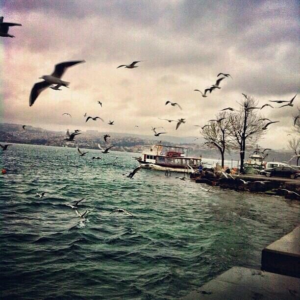 ‏‏‏( الأصدقاء كالسيوف ، منهم للحرب ، ومنهم للعرضه فقط )                      عاملني بما رأيته مني ..... ودع عنك مايقال عني