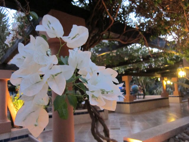 Jackie_Peach's profile picture. Food and Nutrition secondary school teacher.