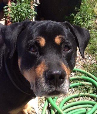 ValRc30's profile picture. 