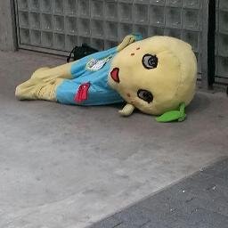 www