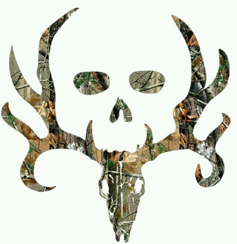 dhorton23's profile picture. 