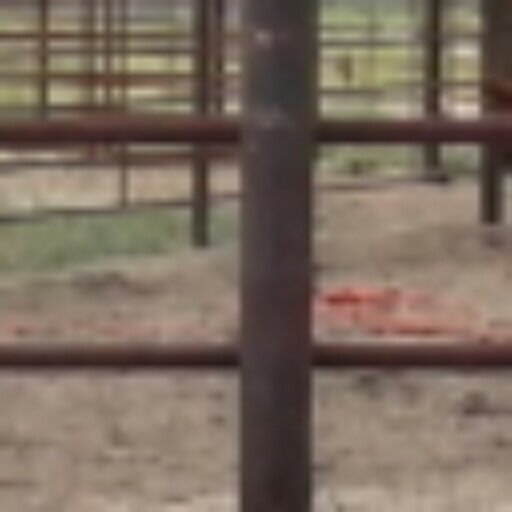 lololo9000's profile picture. 