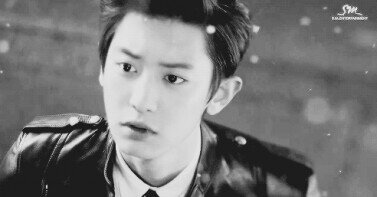 SooRa . Only you in my heart Park Chanyeol , Kim Jongin and Oh Sehun ♥ All 12 gheis is mine . Im #EXOstan and  im proud ♚