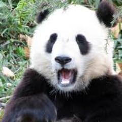 qwovenito's profile picture. Vairāk par sportu, biški mazāk par dzīvi, tam visam klāt kripatiņa patiesības.