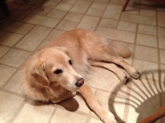 Bruns14's profile picture. 