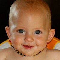 Gunter Pauli (@gunterpauli) 's Twitter Profile