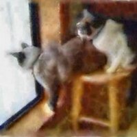 Unique_Digital book covers (@lutjo1953) 's Twitter Profile