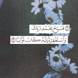@renad__alq