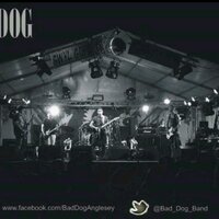 Bad Dog (@bad_dog_band) 's Twitter Profile