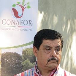Tecomense.