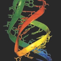 Twitter account of the Interdisciplinary Life Sciences Grad Programs at @UTAustin. Inclusive of Cell & Molecular Biology, Biochemistry, and Microbiology.