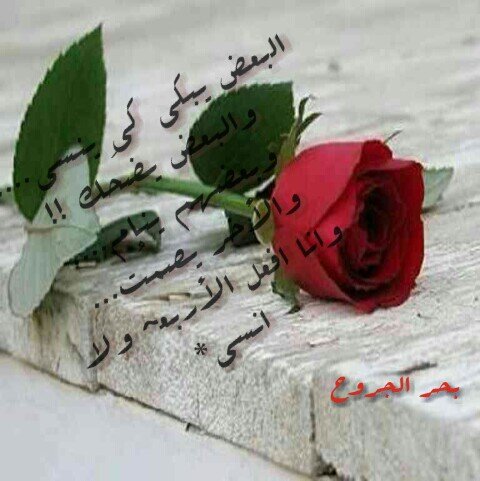 ‏‏آشياء كثيره تجرحنآ#ولكن لآنجد سوى الصمت،،فكيف نعاتبهم على آفعال ﻵتعني،،لهم شىءء...!ولكنهآ تعني لنآ الكثير ....
