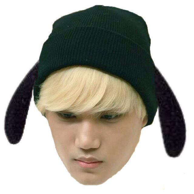 EXOKのKは俺のK←違う