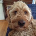 Robin Benoit - @benoitrobin3 - Twitter