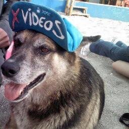 Se você ja deu a bundinha, de uma risadinha.