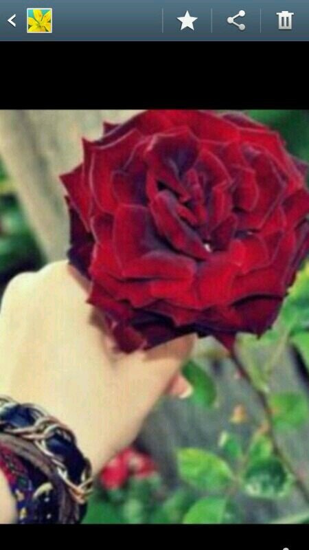 ‏اهلا بالجميع أود متابعتي