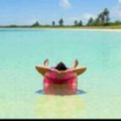 Antoniocolmen11's profile picture. 