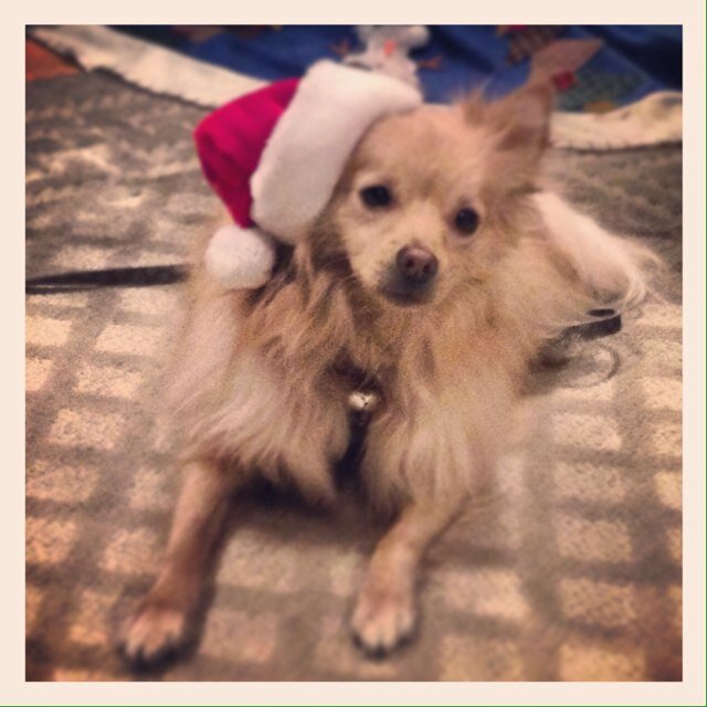 lmb10076486's profile picture. 