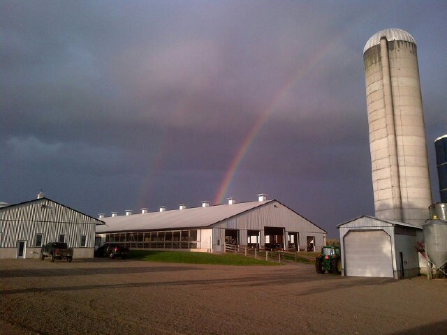 Danesville Holsteins Ltd