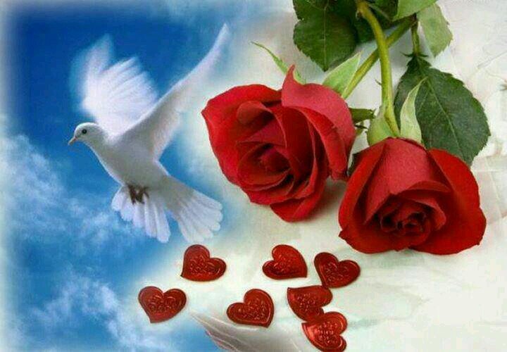 mazzean2's profile picture. 